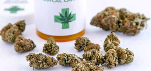 Cannabis terapeutica