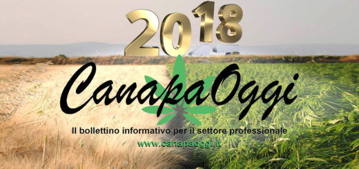 Canapa Oggi capodanno 2017-2018 happy new years hemp