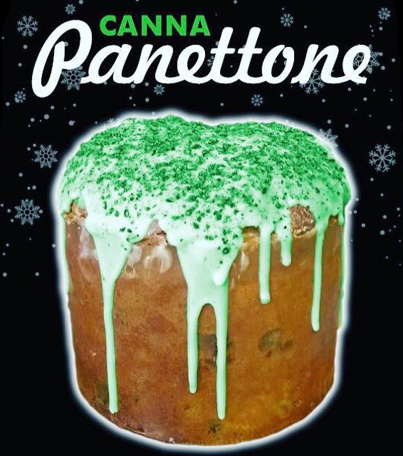 Cannabis light-legale canna Panettone alla cannabis a Lucca cannabis store Amsterdam