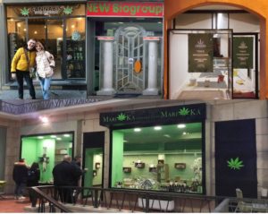Cannabis light-legale, negozi Lucca, Vercelli, Rimini, Ancona