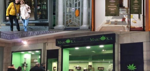 Cannabis light-legale, negozi Lucca, Vercelli, Rimini, Ancona