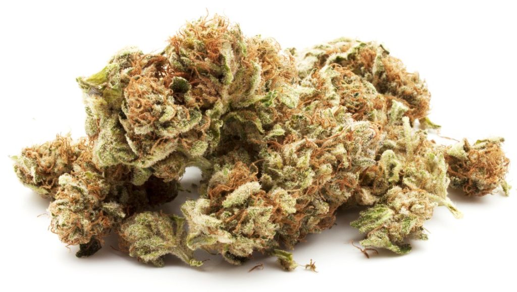 PuntoG cannabis legale Legal Weed Virginia West CBD 25%