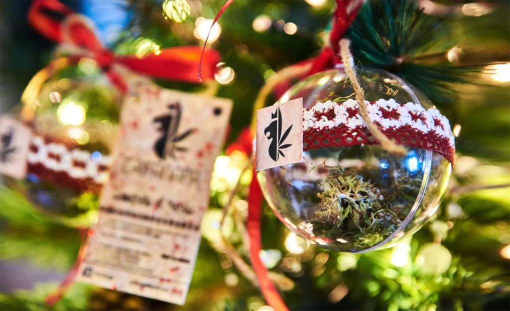 Grifanapa Perugia, canapalle Natale con fiore di canapa dentro