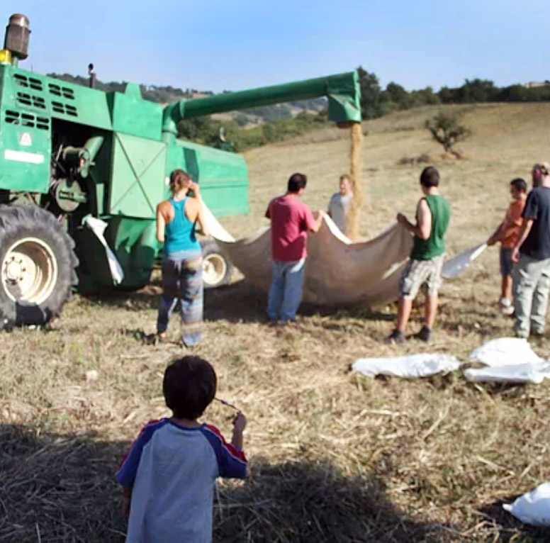 cooperativa Lentamente canapa e grani antichi