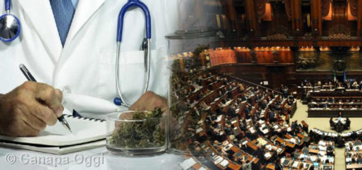 Emendamento sulla cannabis nel decreto fiscale è legge Parlamento, Camera deputati