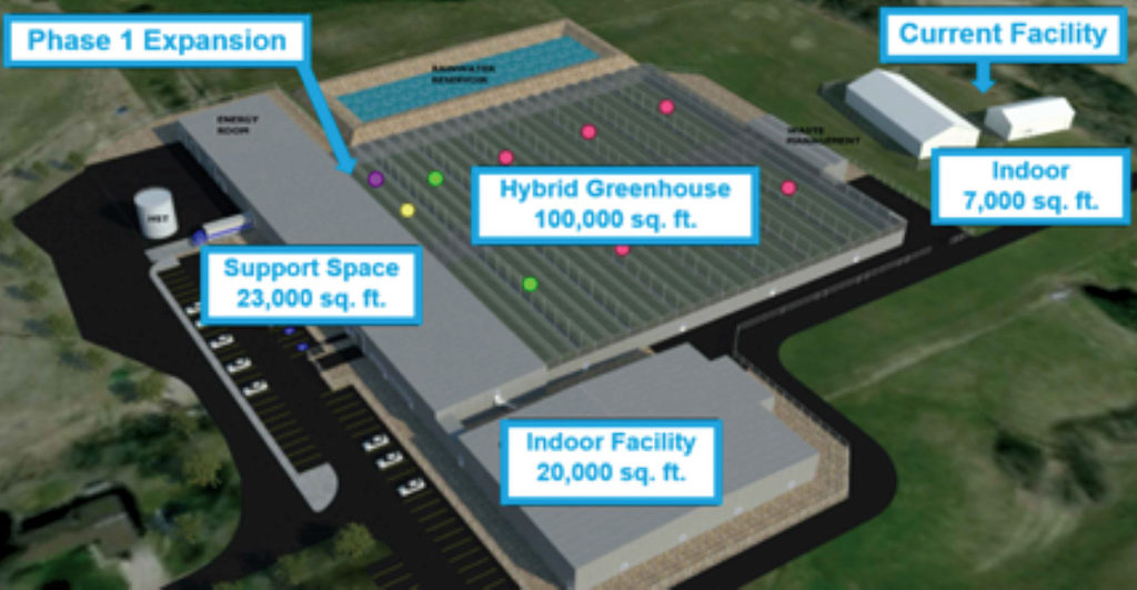 Aurora Cannabis con The Green Organic Dutchman fase espansione in Ontario