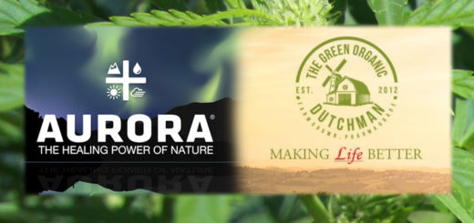 Aurora Cannabis con The Green Organic Dutchman