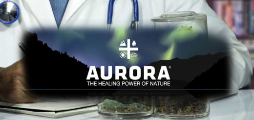 La canadese Aurora Cannabis vince il bando italiano