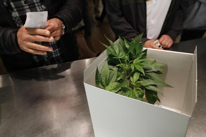 Referendum per la legalizzazione della cannabis in Sardegna