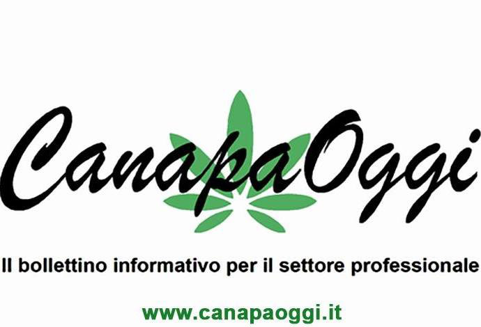 Primo compleanno di Canapa oggi