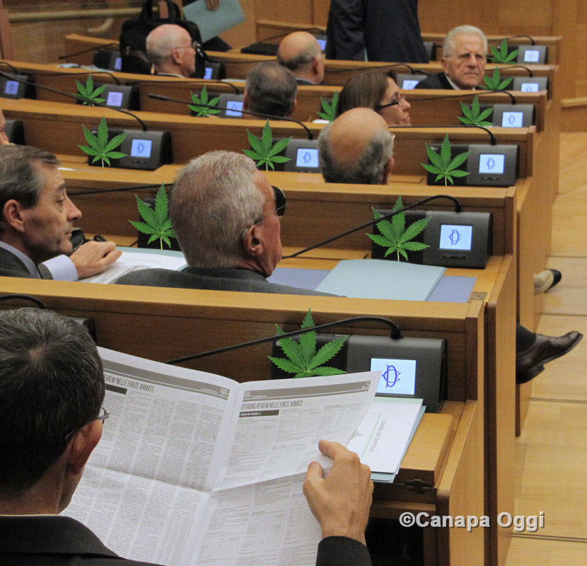 Nuova Camera dei Deputati, subito 376 progetti di legge più uno sulla Cannabis