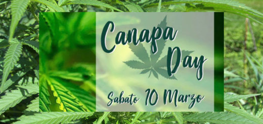 Canapa Day a Campobasso il 10 marzo 2018