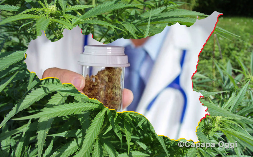 Chiarezza sulla Cannabis Terapeutica in Sicilia