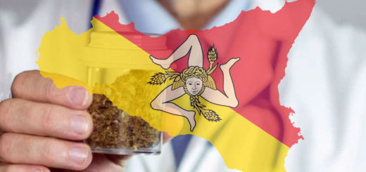 Chiarezza sulla Cannabis Terapeutica in Sicilia