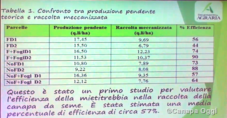 Meccanizzazione nella Canapa Industriale: efficienza della trebbiatura pianta da seme