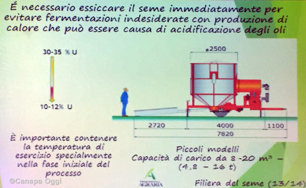 Meccanizzazione nella Canapa Industriale: essiccazione seme
