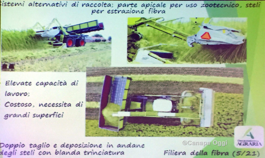 Meccanizzazione nella Canapa Industriale: raccolta paglie