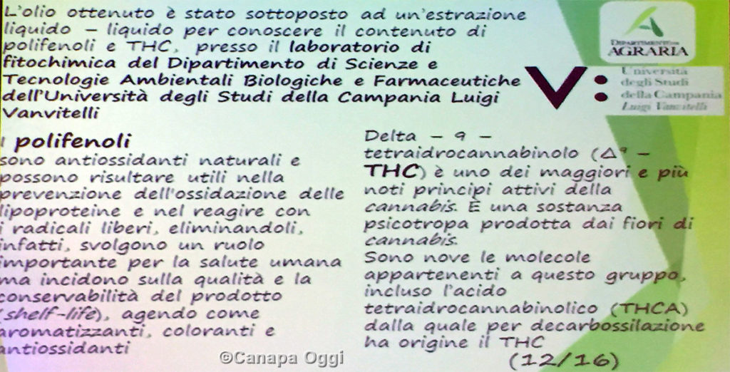 Meccanizzazione nella Canapa Industriale: polifenoli e THC nell'olio da seme