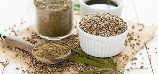 Meccanizzazione nella Canapa Industriale