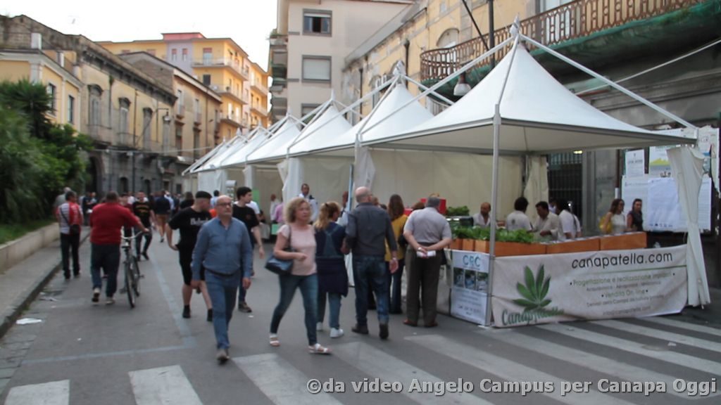 Canapa-è-Frattamaggiore-2018-000612