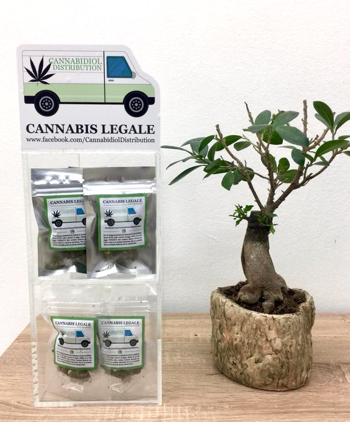 Cannabidiol distribution nuova leader per la Cannabis Light-Legale