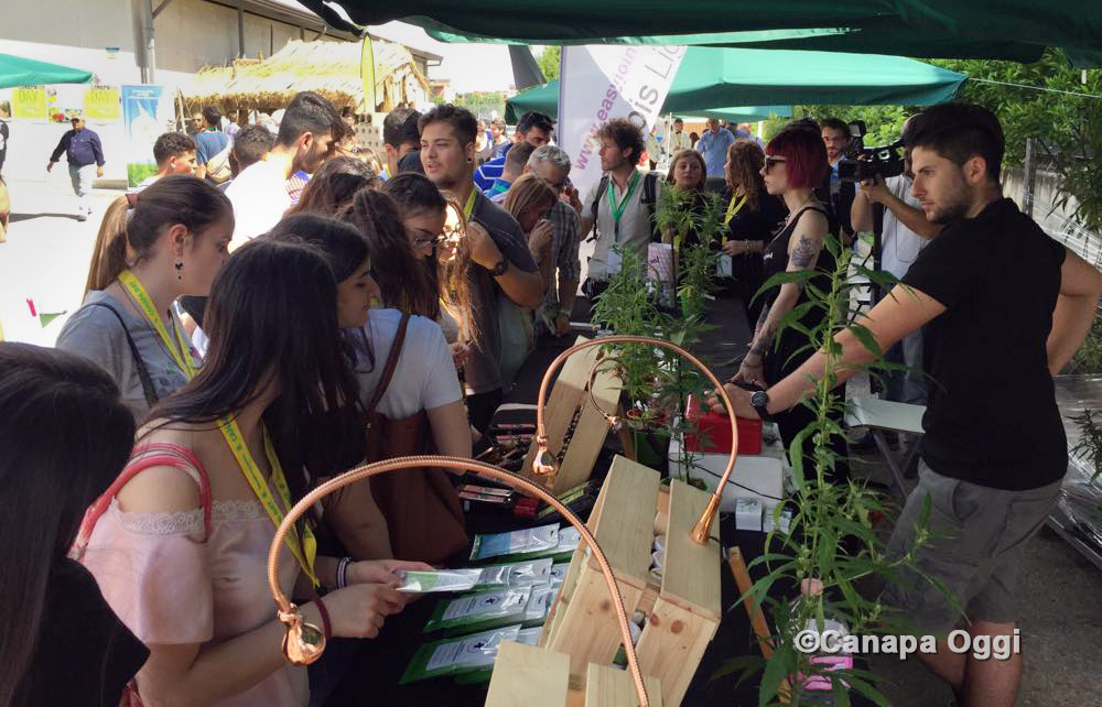 Tanti giovani al Canapa Day 2018 di Canapa Campana