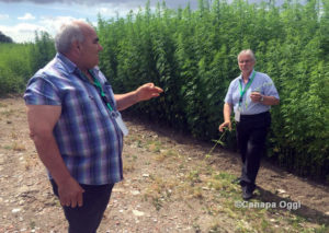Canapa Campana, Canapa Day 2018: Francesco Mugione e Domenico Loreto