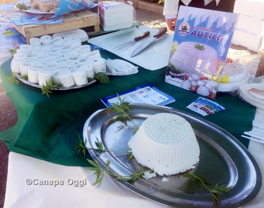 Canapa Campana, al Canapa Day 2018 anche i magnifici formaggi alla canapa del Caseificio Autieri