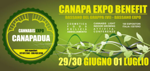 Bassano del Grappa Canapadua la prima fiera del Veneto dedicata alla Canapa