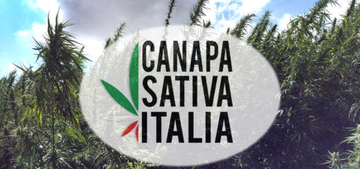 Associazione Canapa Sativa Italia