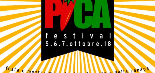 Bergamo PiCa Festival 2018