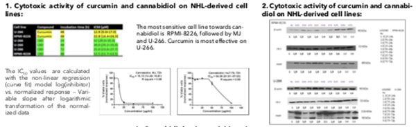 CBD Cannabidiolo con potente attività anti-mieloma