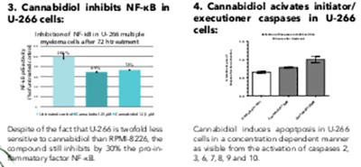 CBD Cannabidiolo con potente attività anti-mieloma