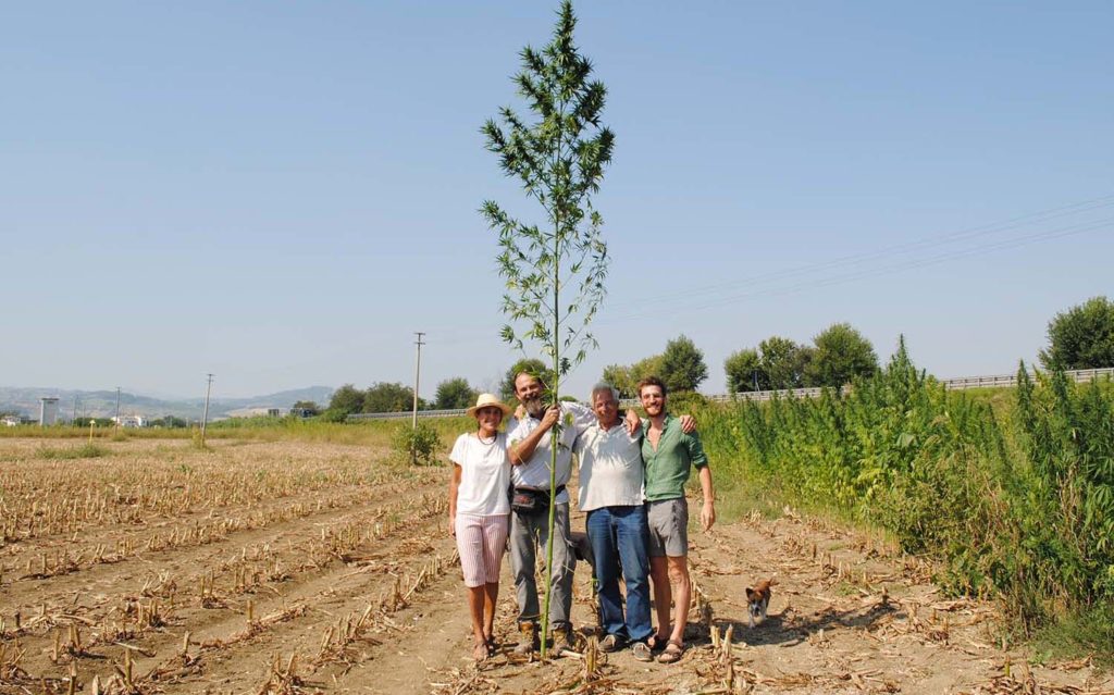 Canapaforum 2018 di Federcanapa