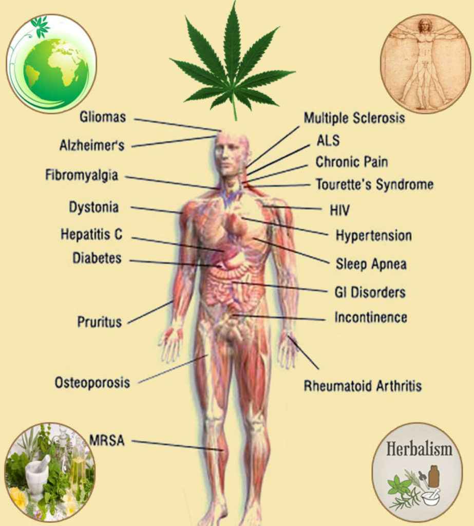Cannabis Terapeutica all'Unione Industriali di Savona