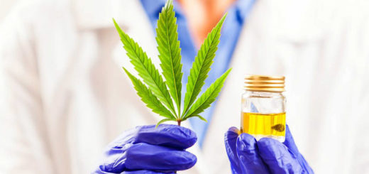 Cannabis Terapeutica all'Unione Industriali di Savona