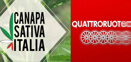 CSI Associazione Canapa Sativa Italia vs Quattroruote