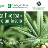 Lecce la tavola rotonda sulla Cannabis