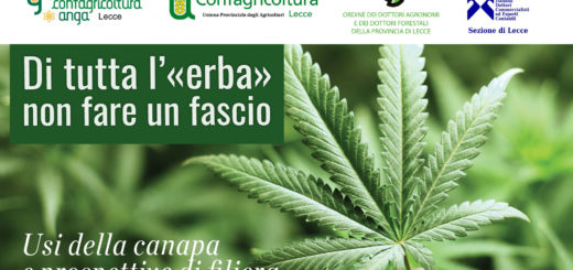 Lecce la tavola rotonda sulla Cannabis
