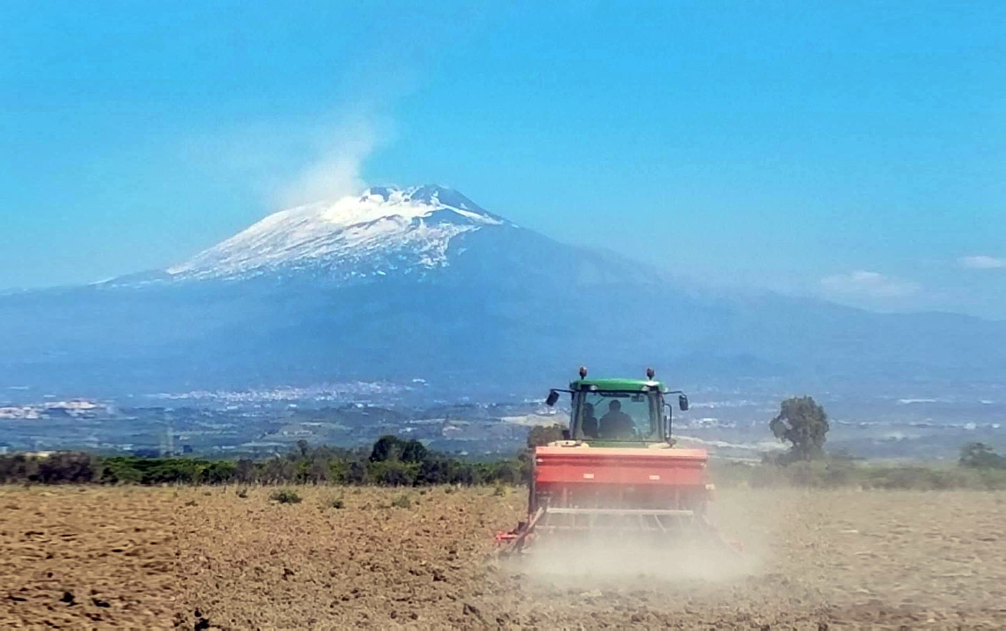 Sicilia il più grande impianto italiano per produrre derivati dalla cannabis