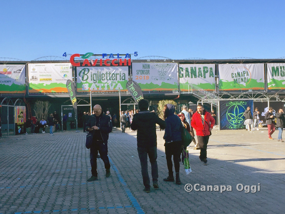 Canapa Mundi 2019