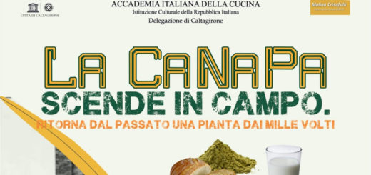 Caltagirone la Canapa scende in campo