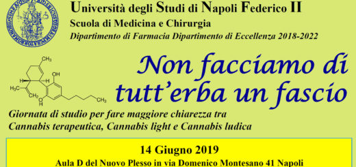 Non facciamo di tutt'erba un fascio