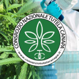 Consorzio Nazionale di Tutela della Canapa