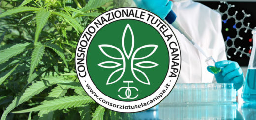 Consorzio Nazionale di Tutela della Canapa