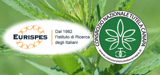 Eurispes e Consorzio Nazionale di Tutela della Canapa Italiana