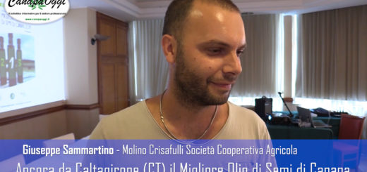 del Molino Crisafulli Giuseppe Sammartino