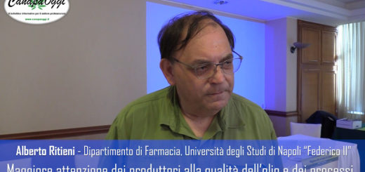 qualità degli oli di semi di canapa, professore Alberto Ritieni