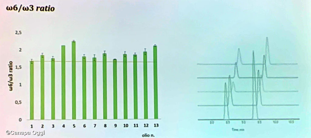 Semi di Canapa e olio, rapporto omega 6 omega 3, Severina Pacifico