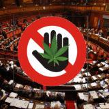 La manovra finanziaria va al Senato senza la Cannabis Light